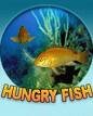 hungryfish.jpg