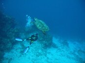 Cozumel.jpg