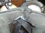 kink wing.JPG
