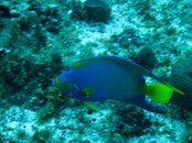 IMG_1326.JPG