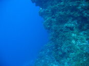 IMG_1205.JPG