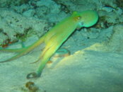 IMG_1636.JPG