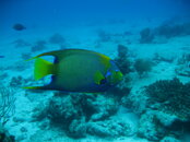 IMG_1720.JPG