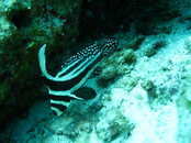 IMG_1754.JPG