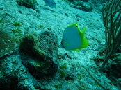IMG_1762.JPG