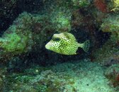 IMG_0804fs.jpg
