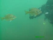 Cayuna Pits 30.JPG