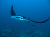 IMG_0670_edited-1.jpg
