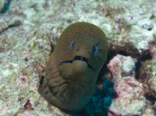 IMG_0711.780.jpg