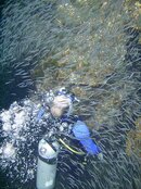 Kevin and Silversides.jpg