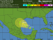 TS Dolly.gif