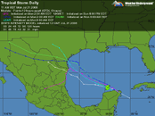 TS Dolly 2.gif