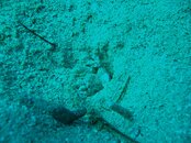 roatan0083.jpg