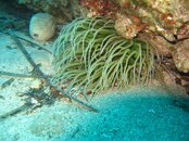 IMG_0147 (Medium).JPG