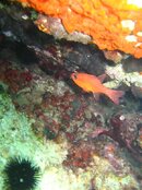 IMG_0362 (Medium).JPG
