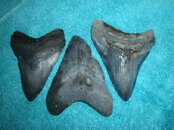 DSC00164.JPG