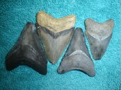 DSC00165.JPG