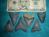 DSC00167.JPG