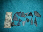 DSC00168.JPG
