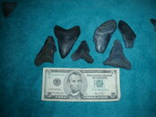 DSC00169.JPG
