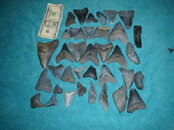 DSC00174.JPG
