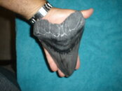 DSC00176.JPG