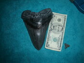 DSC00175.JPG