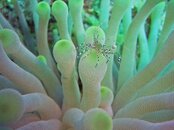 2008 04 14 ROATAN 013_edited-1.jpg