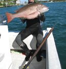 still loaded gun - inshore.JPG