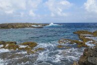 IMG_4379.jpg