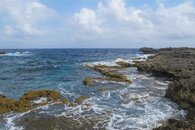IMG_4375.jpg