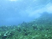IMG_4322.jpg