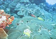 IMG_4339.jpg