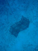 jamaica last dive_08 28 11_0251.jpg
