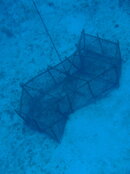 jamaica last dive_08 28 11_0252.jpg