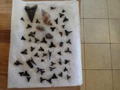 5-25-2013-teeth.jpg