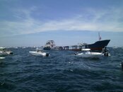 PICT0071.jpg