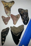 20130527_203409.jpg
