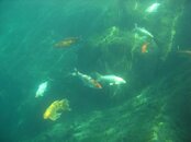 IMG_5765.jpg