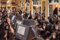 Monkey with Computer 4.jpg