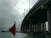 PICT0384.jpg