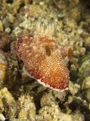 IMG_3224.jpg
