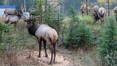 IMG_0599.jpg