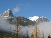 IMG_3193.jpg