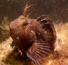 DSCN5711.jpg