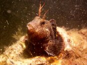 DSCN5708.jpg