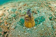 IMG_5774.jpg