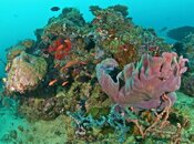 IMG_5776.jpg