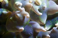 PG Abstract 9.jpg