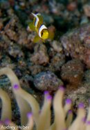 Philippines 2013 (1 of 102013).jpg